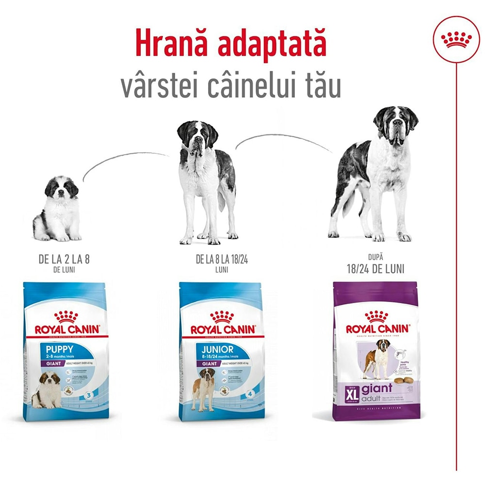 Hrana uscata pentru caini ROYAL CANIN SHN Giant, Adult, Pasare, 15 kg