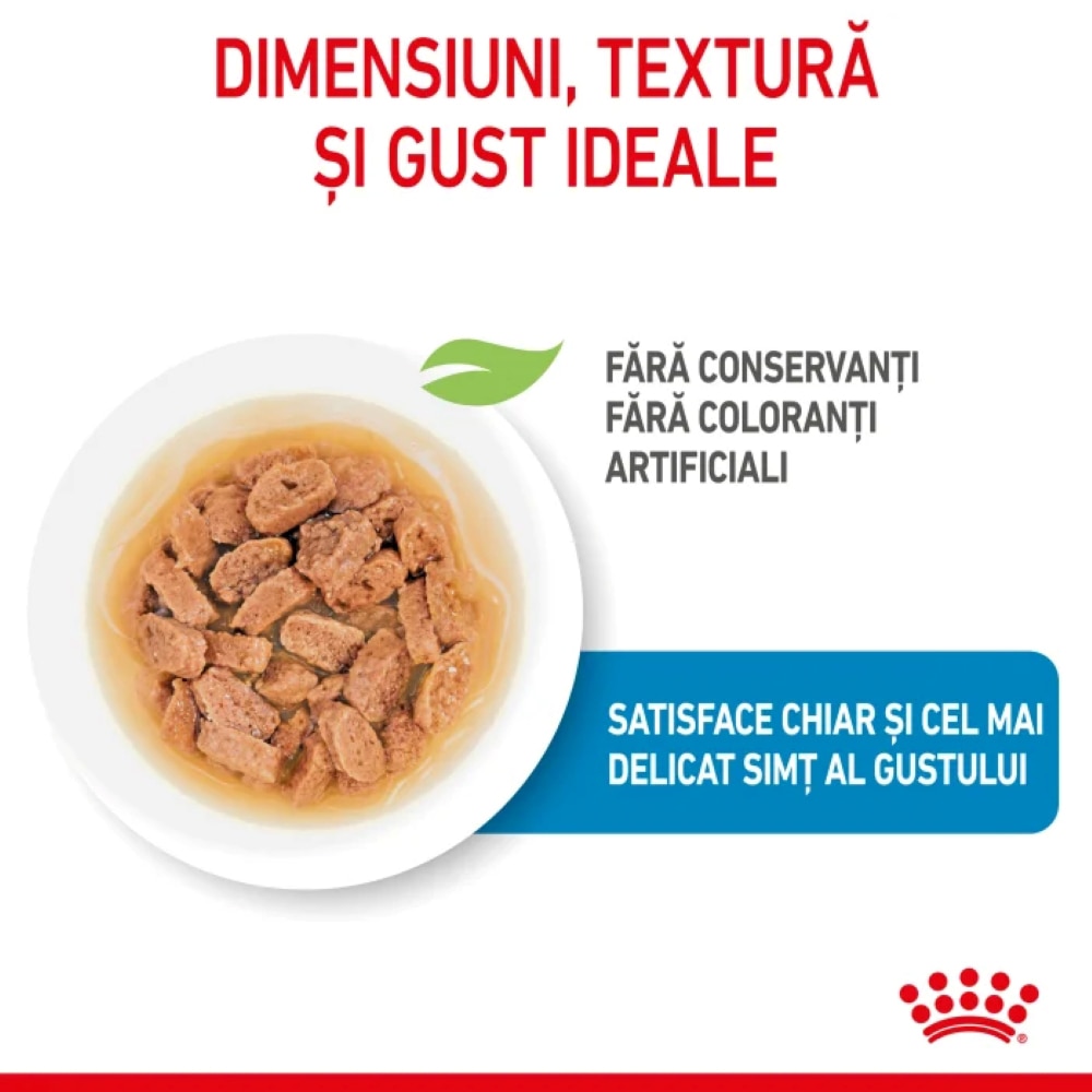 Hrana umeda pentru caini ROYAL CANIN SHN Mini, Junior, Mix in sos, 12 x 85g