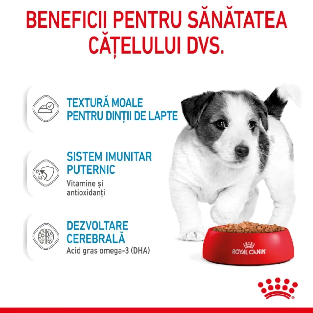 Hrana umeda pentru caini ROYAL CANIN SHN Mini, Junior, Mix in sos, 12 x 85g