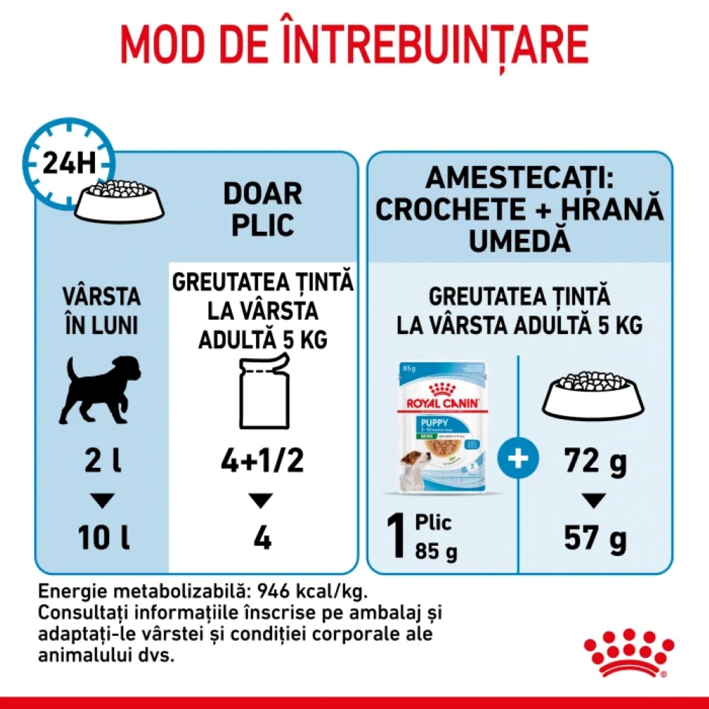 Hrana umeda pentru caini ROYAL CANIN SHN Mini, Junior, Mix in sos, 12 x 85g
