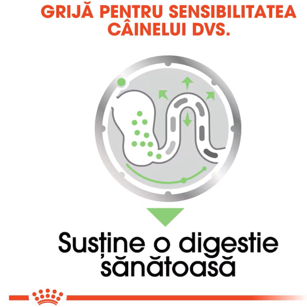 Hrana umeda pentru caini ROYAL CANIN CCN Digestive Care, Adult, Mix, 12 x 85g