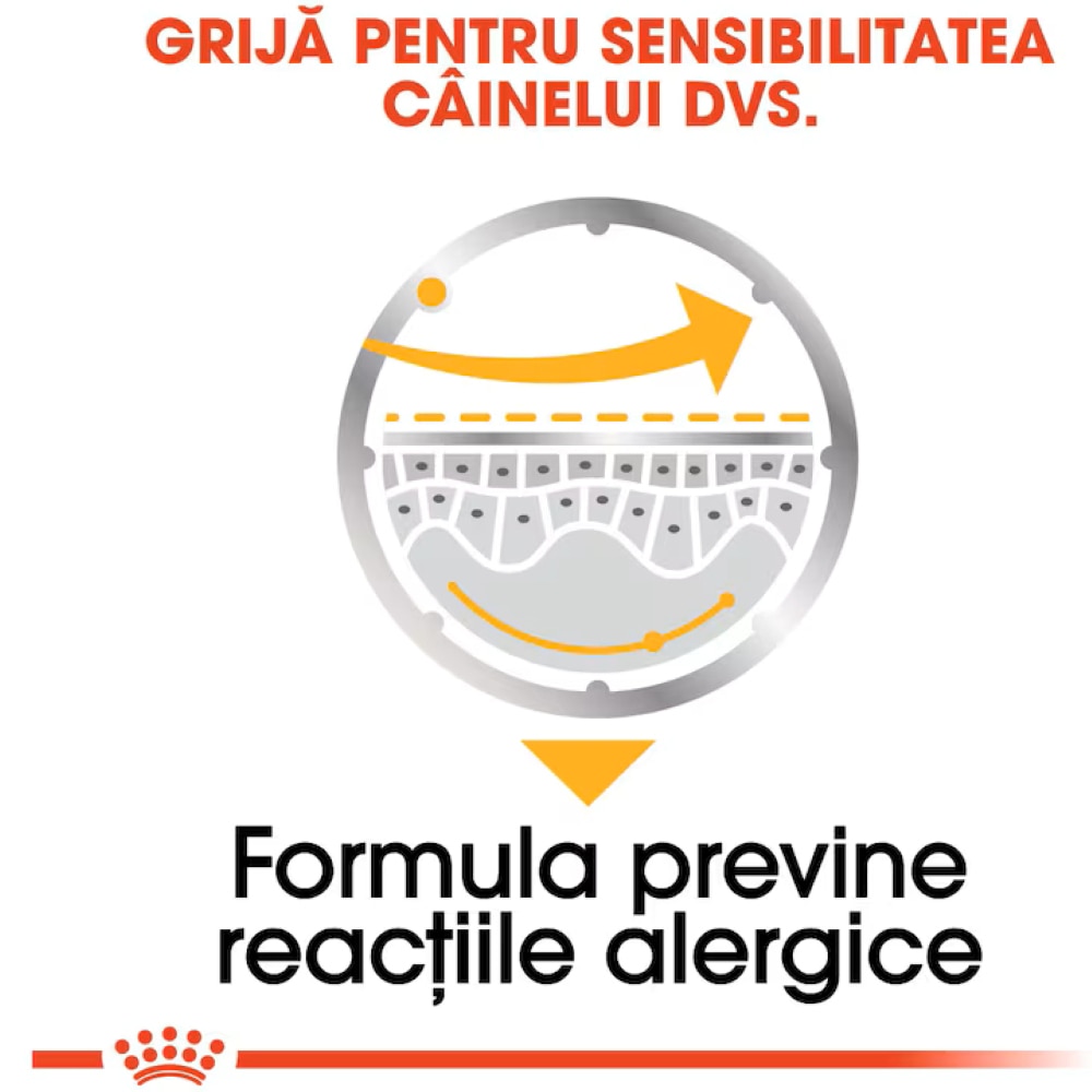 Hrana umeda pentru caini ROYAL CANIN CCN Dermacomfort, Adult, Mix, 12 x 85g