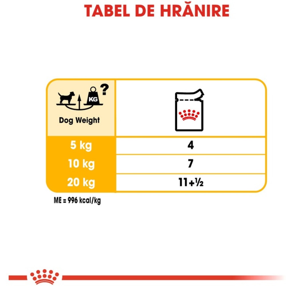 Hrana umeda pentru caini ROYAL CANIN CCN Dermacomfort, Adult, Mix, 12 x 85g