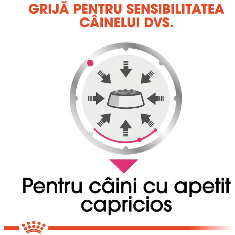 Hrana umeda pentru caini ROYAL CANIN CCN Exigent, Adult, Mix, 12 x 85g