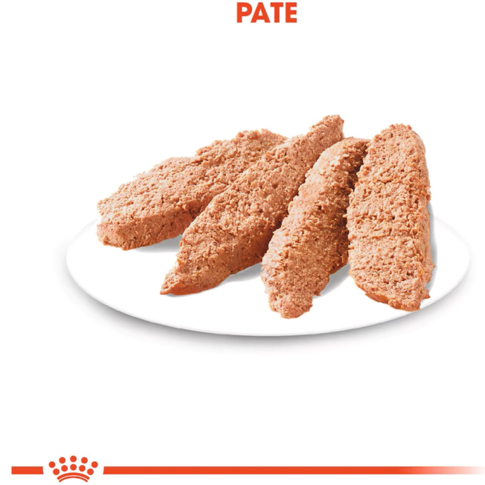 Hrana umeda pentru caini ROYAL CANIN CCN Exigent, Adult, Mix, 12 x 85g