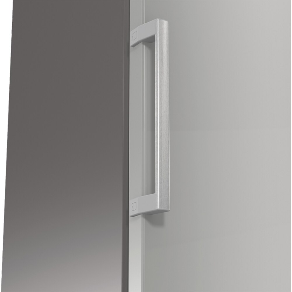 Frigider cu o usa GORENJE R619EES5, 398 l, H 185 cm, Clasa E, argintiu
