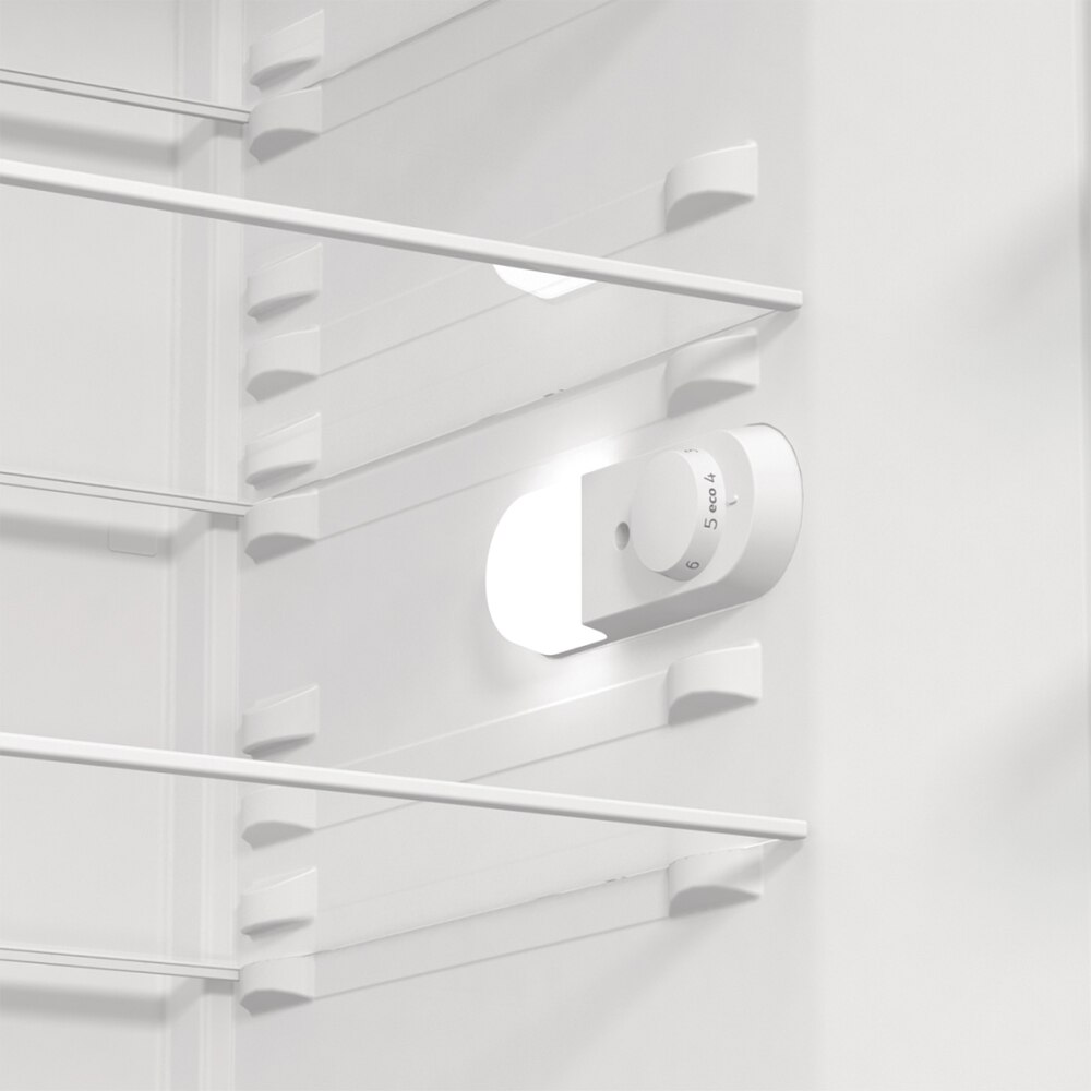 Frigider cu o usa GORENJE R619EES5, 398 l, H 185 cm, Clasa E, argintiu