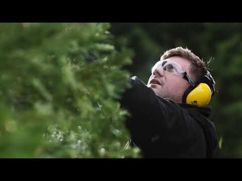 Fierastrau telescopic gard viu, 45 cm  Erbauer