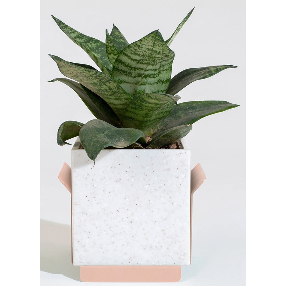 Suport ghiveci flori SPIN Fliss, 13.2 x 13.8 x 12.2 cm, roz