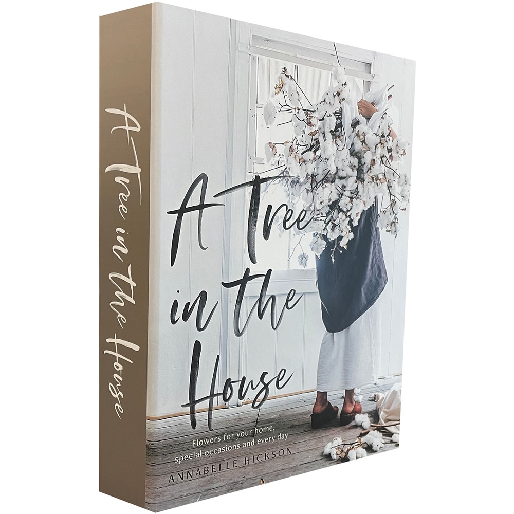 Cutie depozitare Piacenza KK21, 27 x 19 x 4 cm, multicolor