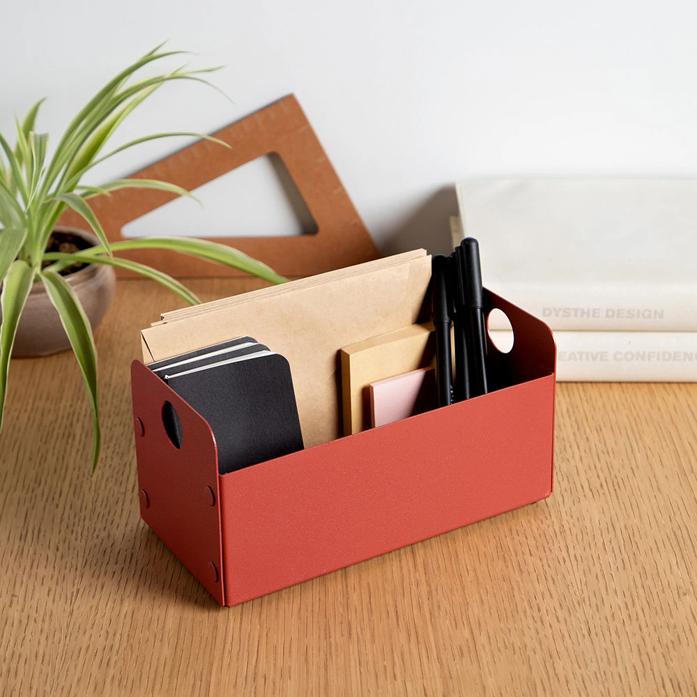 Cutie depozitare Intact, 20 x 10 x 10 cm, rosu