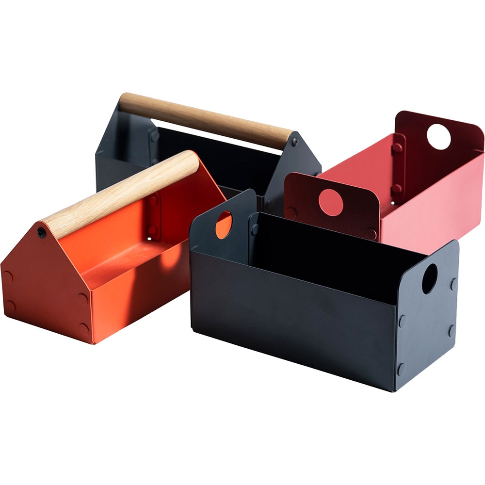 Cutie depozitare Intact Carry, 20 x 10 x 10 cm, gri inchis