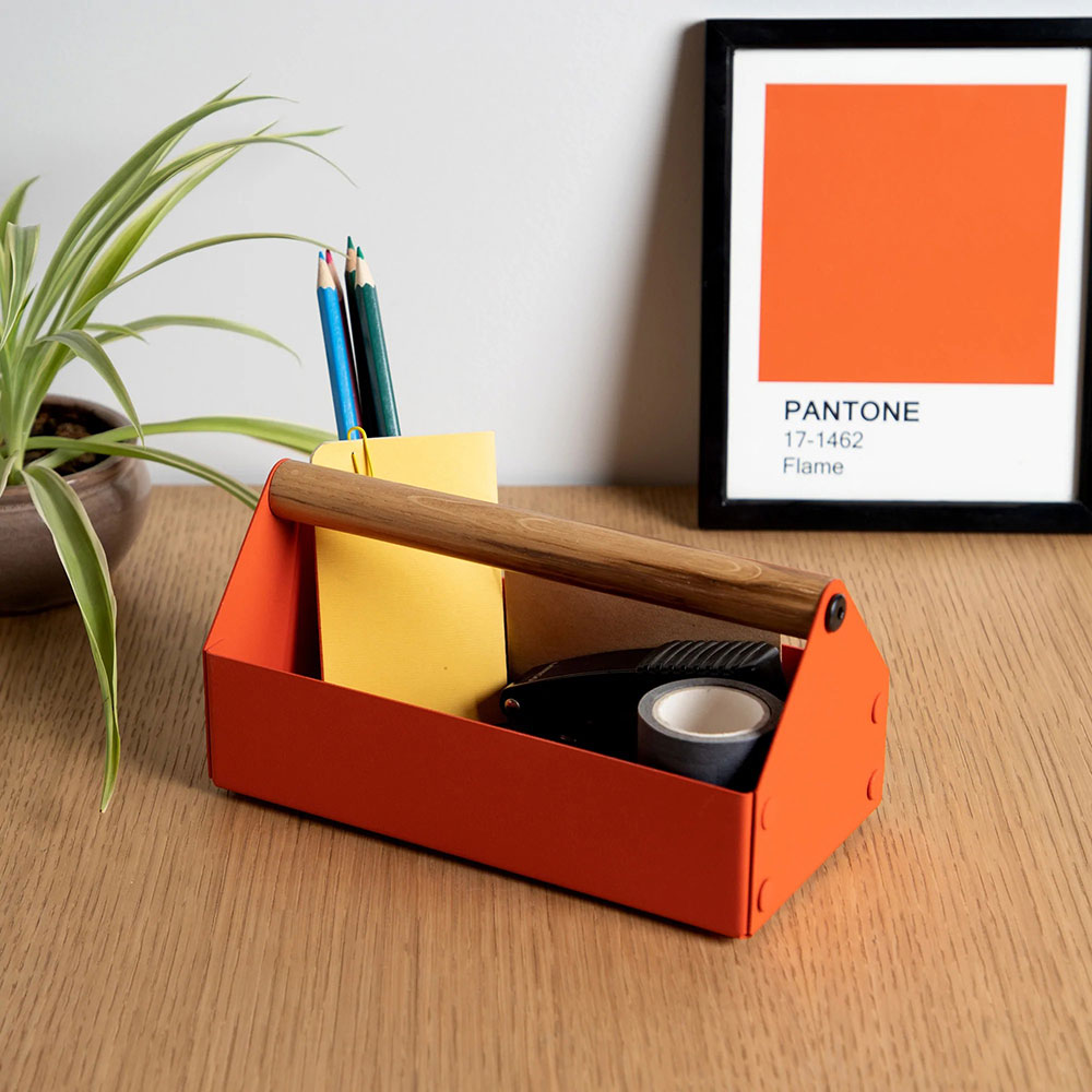 Cutie depozitare Intact Carry, 20 x 10 x 10 cm, rosu