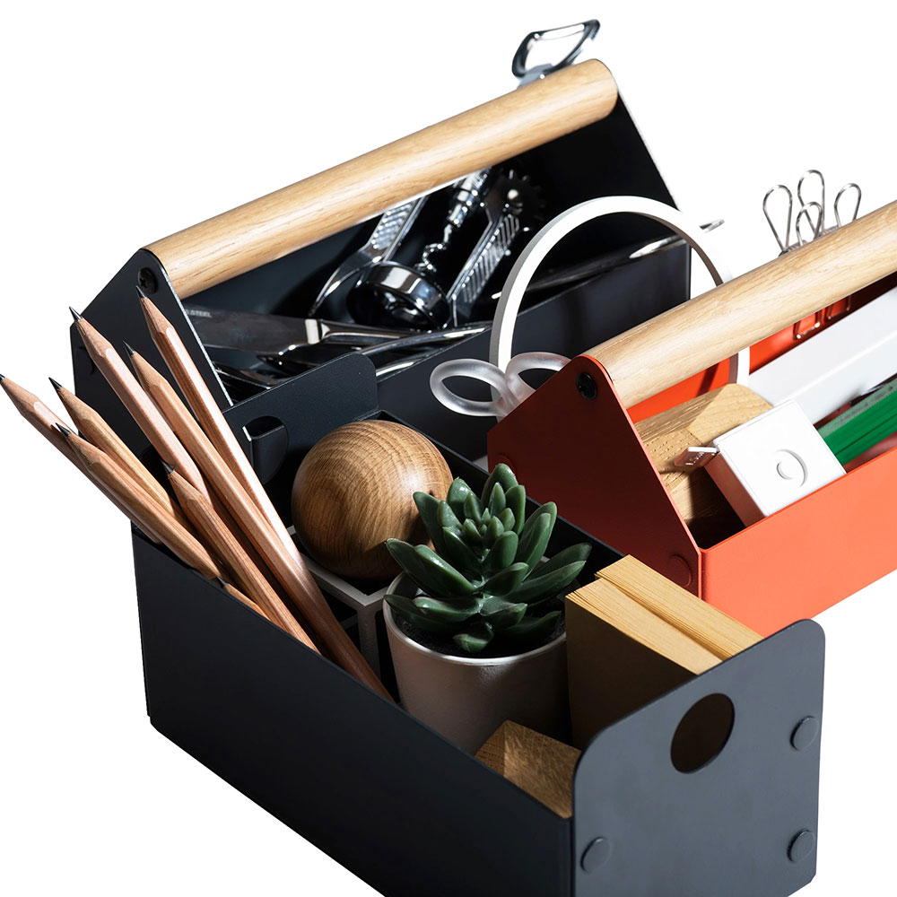 Cutie depozitare Intact Carry, 20 x 10 x 10 cm, rosu