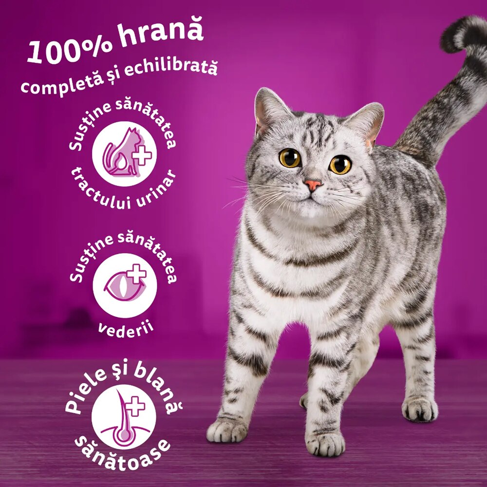 Hrana uscata pentru pisici WHISKAS, Adult, Vita, 300 g