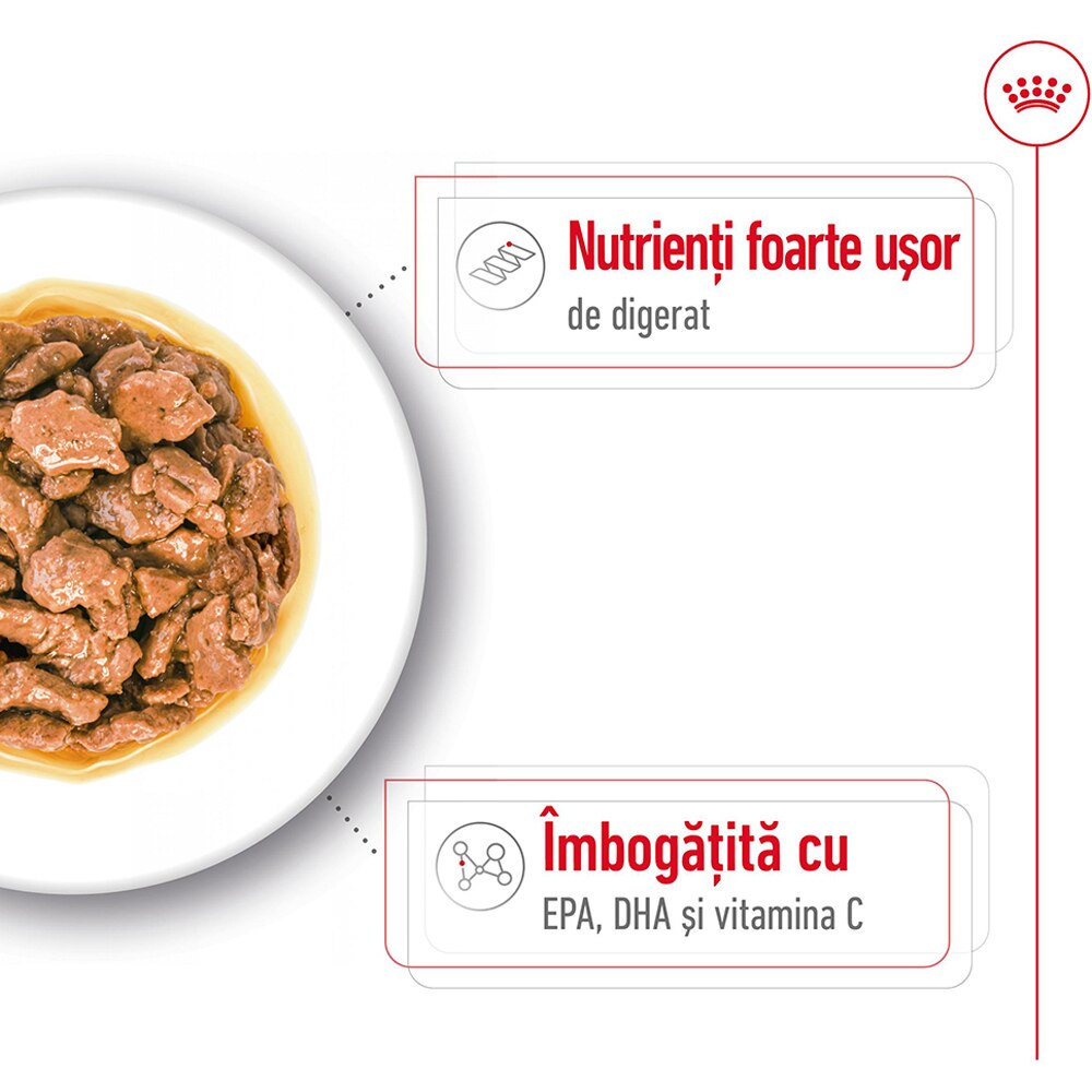 Hrana umeda pentru caini ROYAL CANIN SHN X-Small, Adult, 85 g