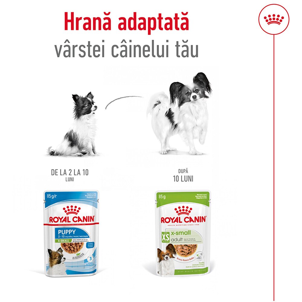 Hrana umeda pentru caini ROYAL CANIN SHN X-Small, Adult, 85 g