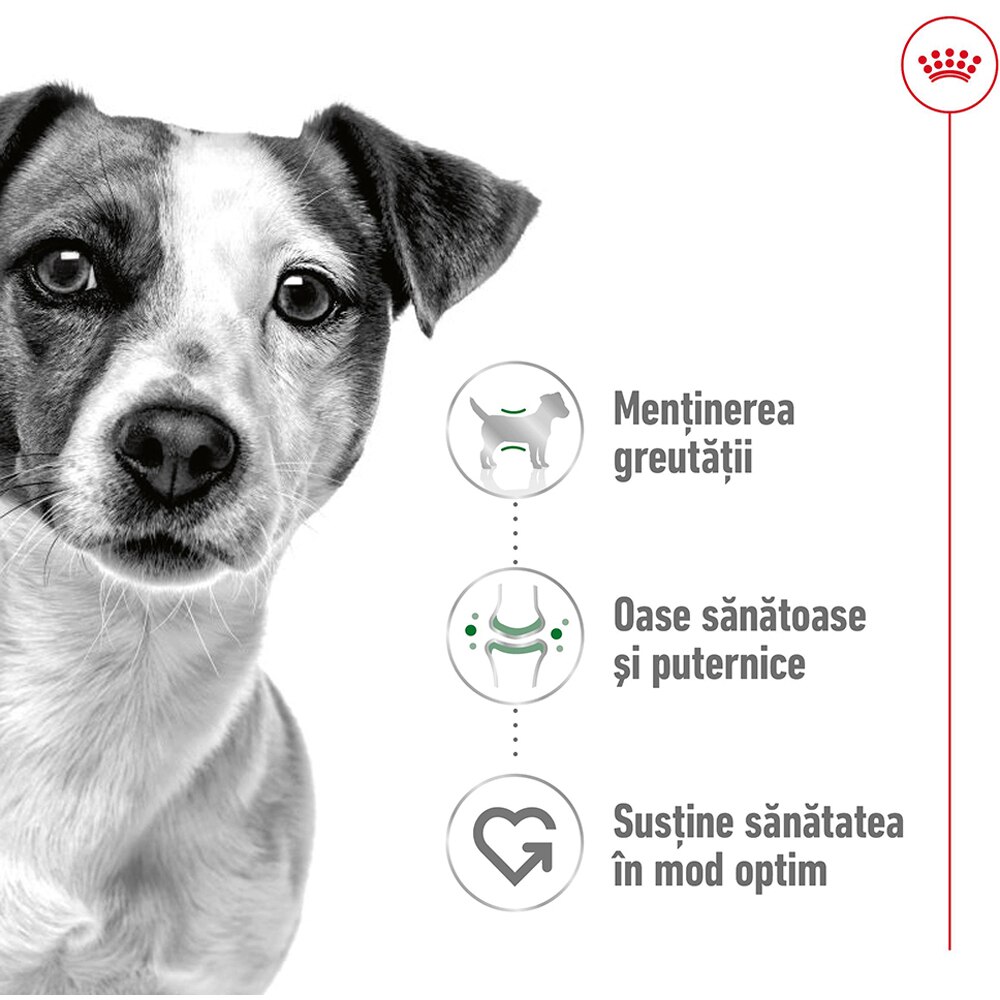 Hrana umeda pentru caini ROYAL CANIN SHN Mini, Adult, 195 g