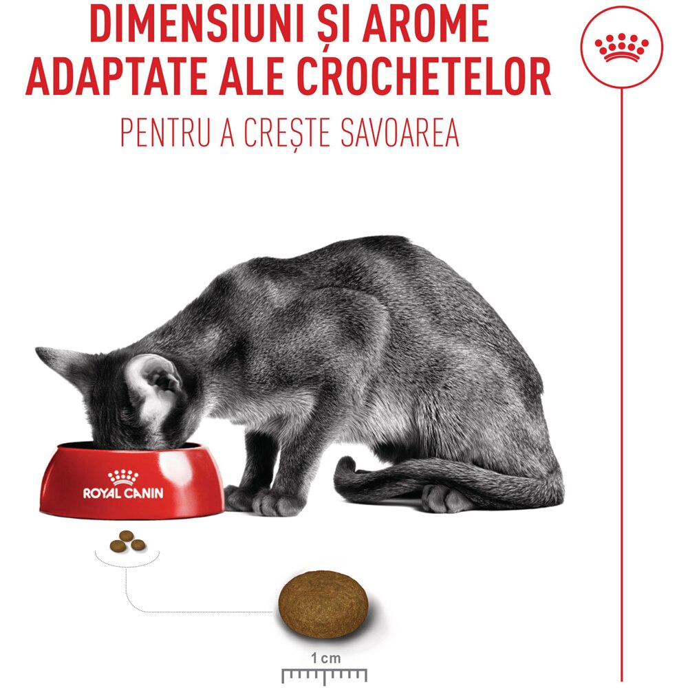 Hrana uscata pentru pisici ROYAL CANIN FHN Fussy, Adult, Pasare, 10 kg