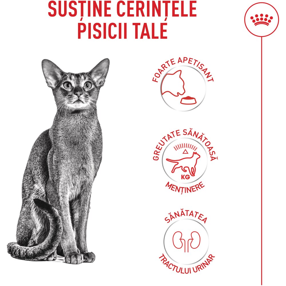 Hrana uscata pentru pisici ROYAL CANIN FHN Fussy, Adult, Pasare, 10 kg
