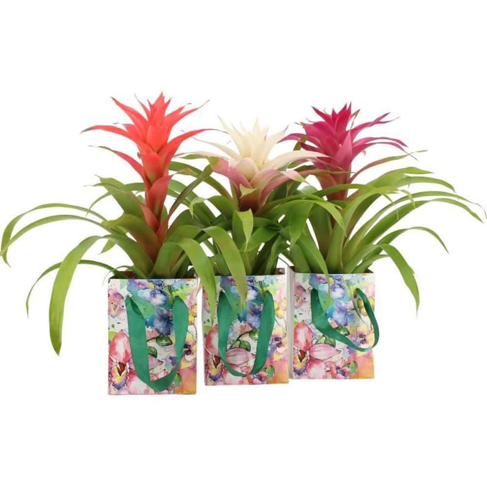 Aranjament floral Love, D12 cm, H 45 cm