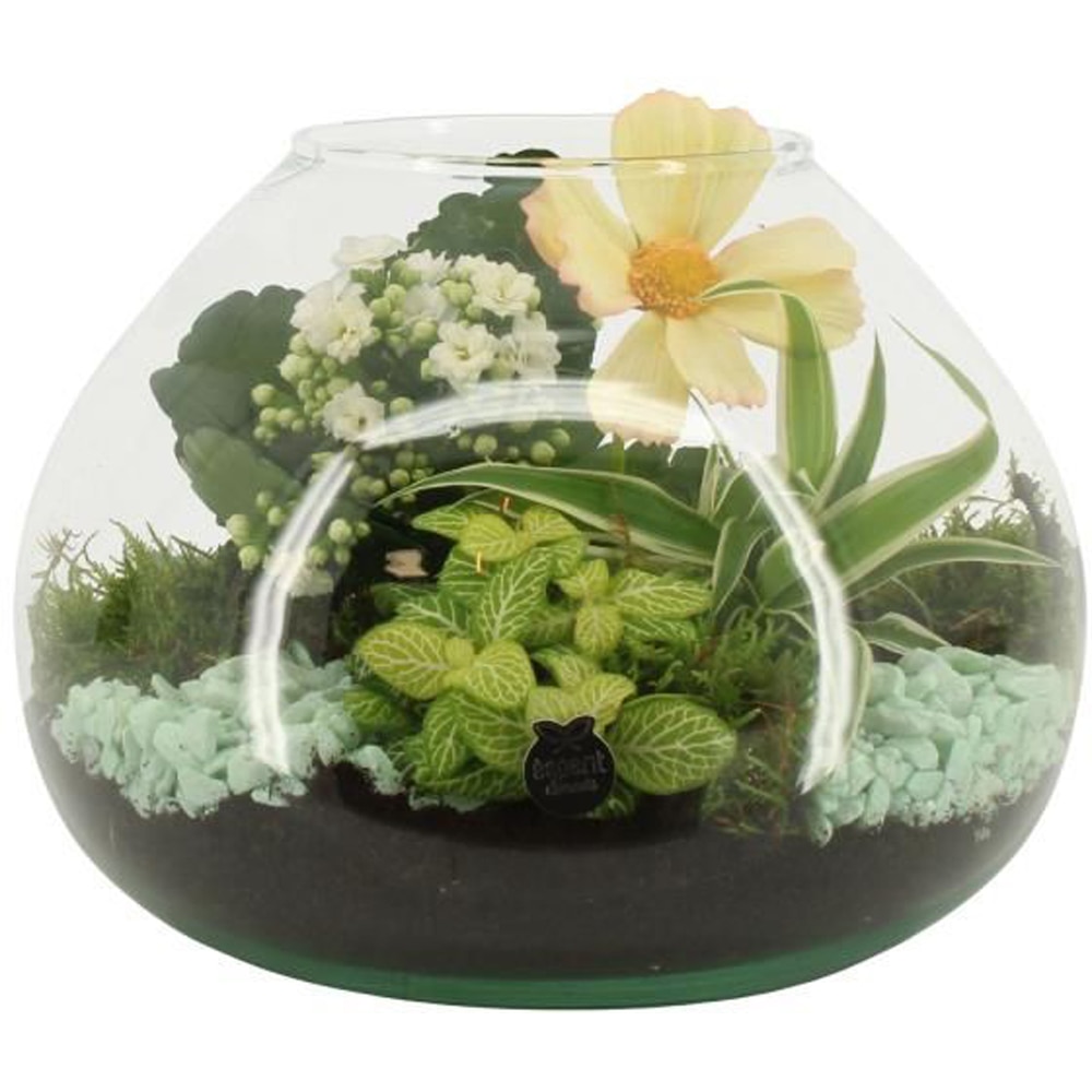 Aranjament floral, D20 cm, H 20 cm