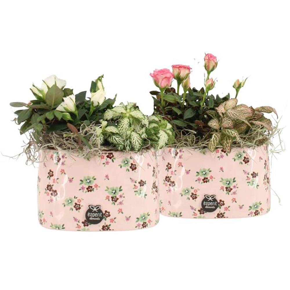 Planta Aranjament floral - Love, D14, H20