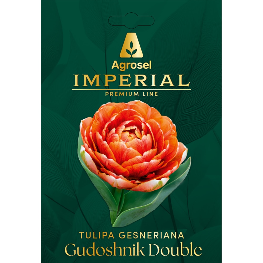 Lalea Gudoshnik Double IMPERIAL, 5 bulbi
