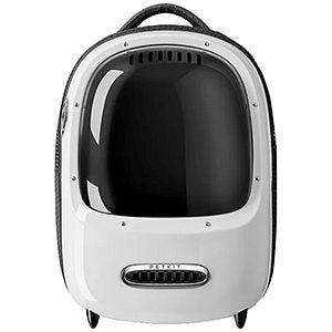 Genti si articole transport