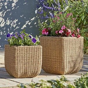 Jardiniere