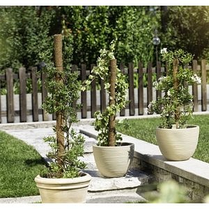 Tutore decorativ cocos, 110 cm