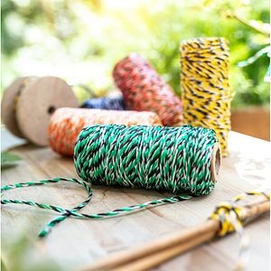 Sfoara bicolor, 50 m