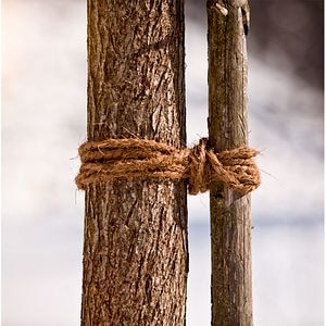 Sfoara decorativa cocos, 15 m