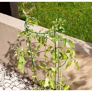 Spalier rotund pentru tomate, otel, 35 x 140 cm