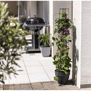 Spalier coloana, otel, 175 cm, 2 buc