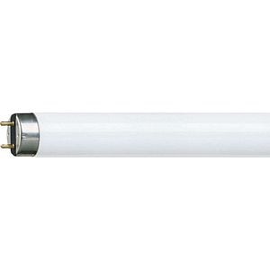 Tub fluorescent PHILIPS, T8, 36W, 120 cm