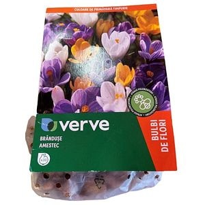 Bulbi VERVE Crocus Mix, multicolor