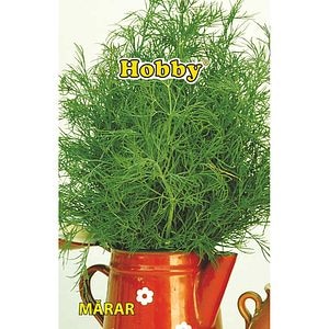 Seminte plante aromatice marar HOBBY