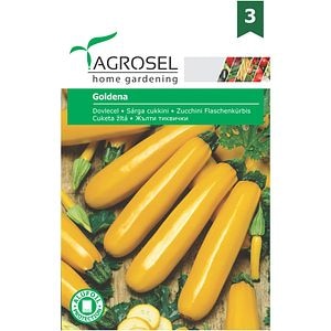 Seminte legume dovlecel Goldena AGROSEL, 3g