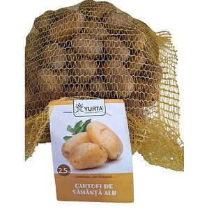 Cartofi de plantat YURTA, 2.5Kg
