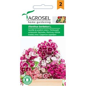 Seminte flori Garofita AGROSEL, 1 g