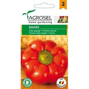 Seminte ardei gogosar Splendid AGROSEL, 4.35 g
