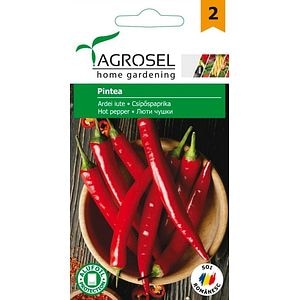 Seminte ardei iute Pintea AGROSEL, 4.35 g