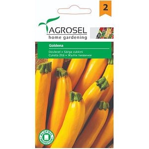 Seminte legume dovlecel Goldena AGROSEL, 1.5g