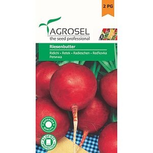 Seminte Ridichi Riesenbutter AGROSEL