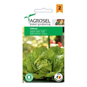 Seminte salata Helmut • Agrosel