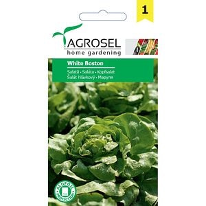 Seminte Salata White Boston AGROSEL