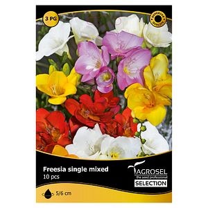 Bulbi Freesia single mix