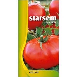 Seminte legume Rosii Ace55 STARSEM