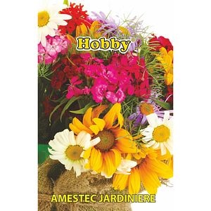 Seminte flori amestec pentru jardiniera HOBBY, 0.85 g